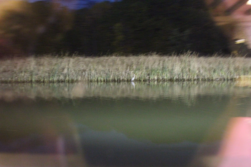 slideshow